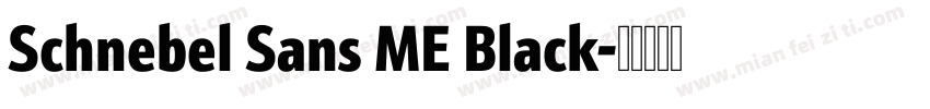 Schnebel Sans ME Black字体转换